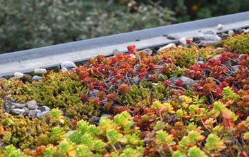 the cost of Tang Hall green roof installation