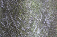 Tang Hall fibreglass roof work